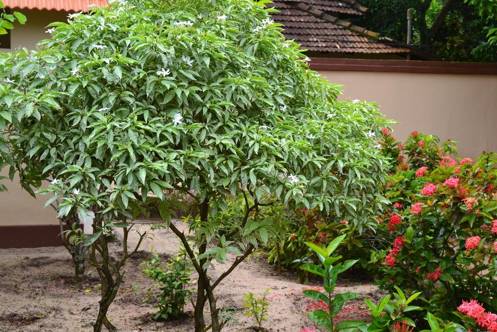 Tharavad Heritage Alappuzha Eksteriør bilde